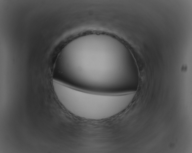 X0000095531495200712140922