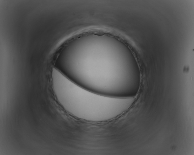 X0000095531496200712140922