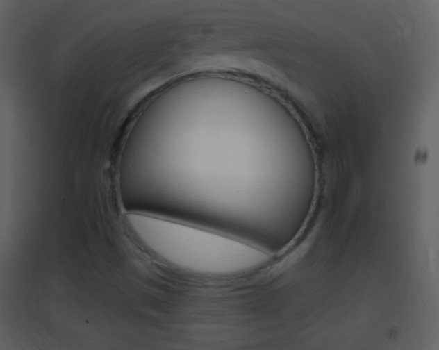 X0000095531497200712140922