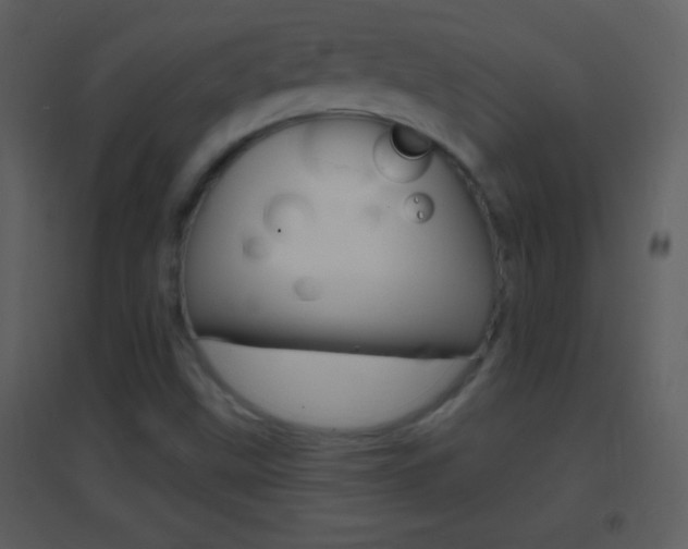 X0000095531499200712140922