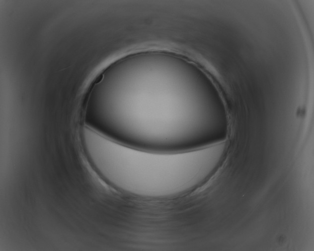 X0000095531500200712140922