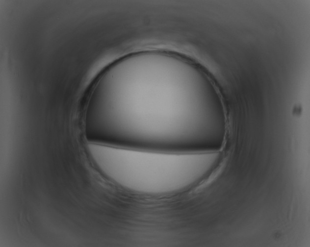 X0000095531501200712140922