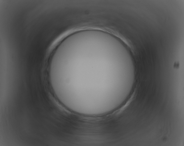 X0000095531502200712140922