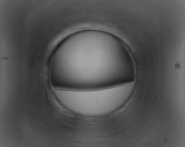 X0000095531503200712140922
