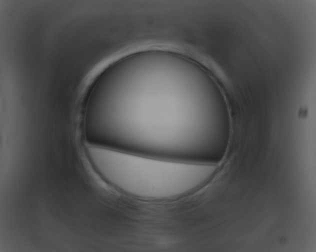 X0000095531504200712140922