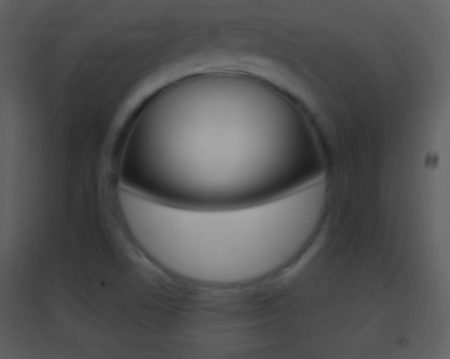 X0000095531506200712140922