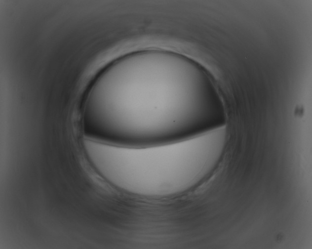 X0000095531507200712140922