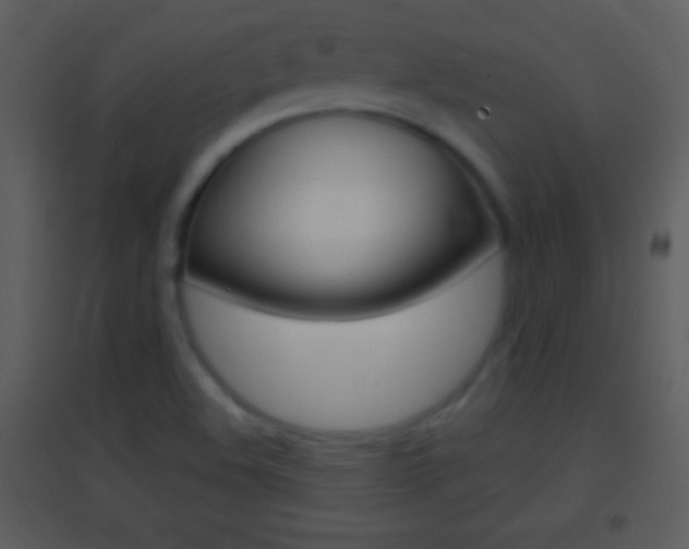 X0000095531508200712140922