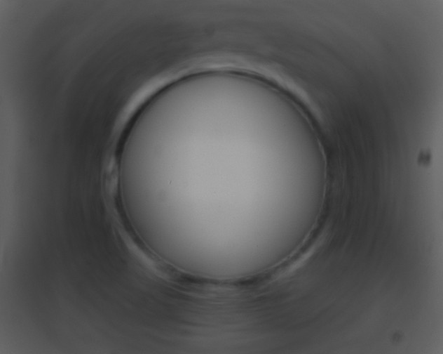X0000095531509200712140922