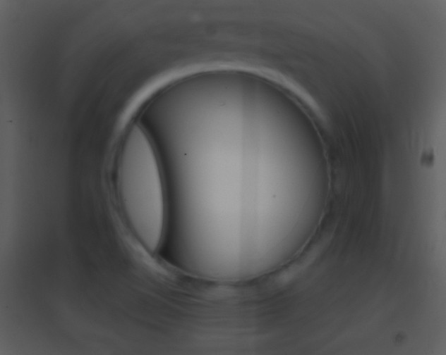 X0000095531510200712140922
