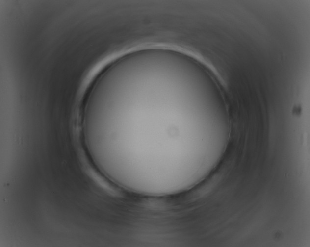 X0000095531511200712140922
