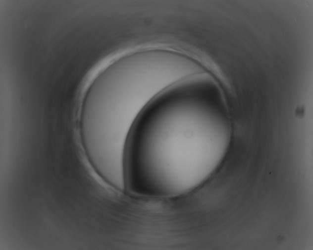 X0000095531512200712140922