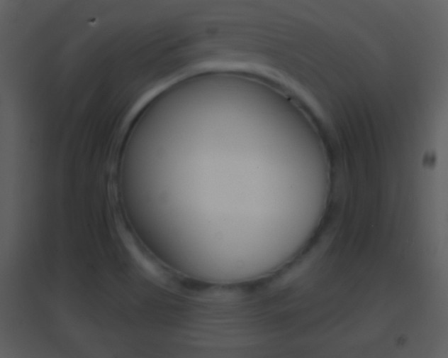 X0000095531513200712140922