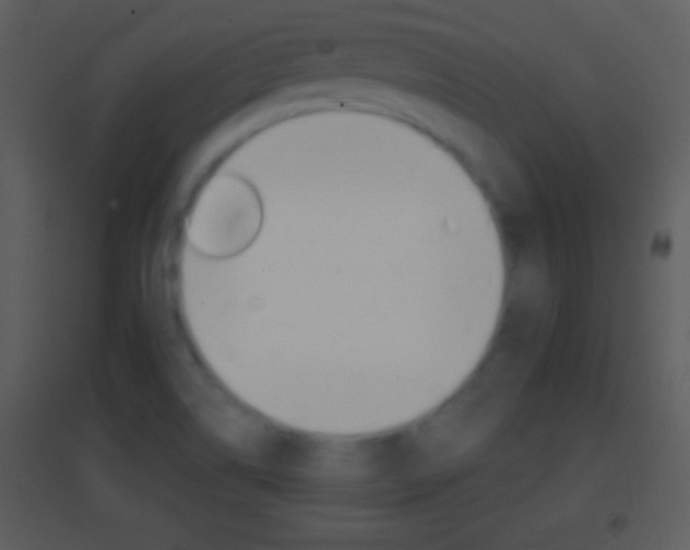 X0000095531514200712140922