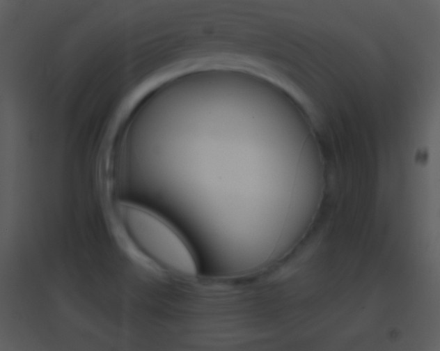 X0000095531515200712140922