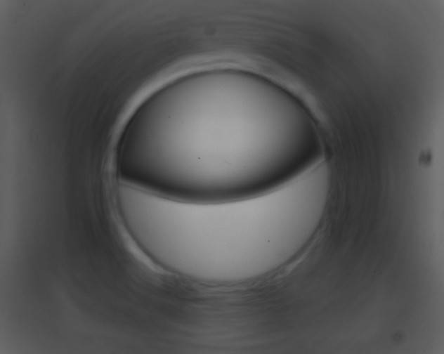 X0000095531516200712140922