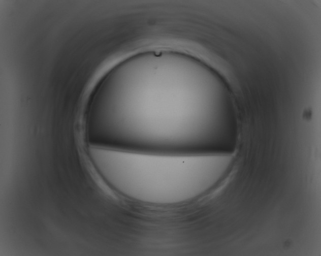 X0000095531517200712140922