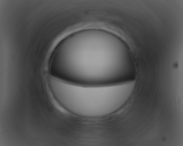 X0000095531519200712140923