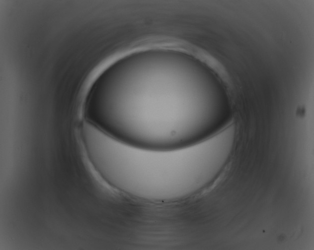 X0000095531520200712140923