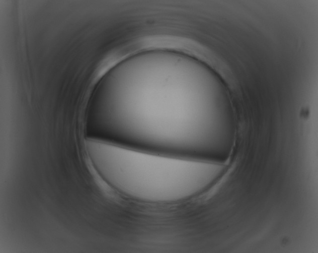X0000095531521200712140923