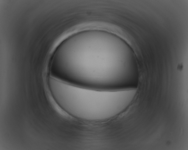 X0000095531523200712140923