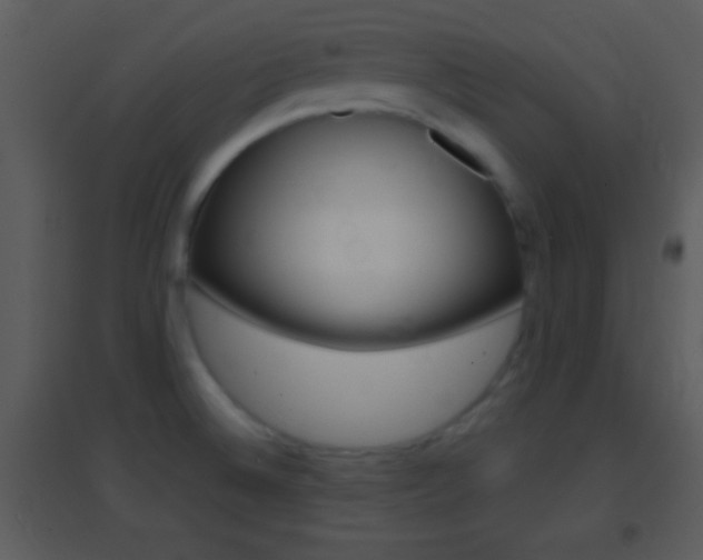 X0000095531524200712140923