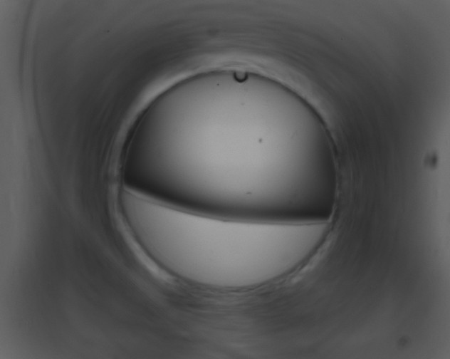 X0000095531525200712140923