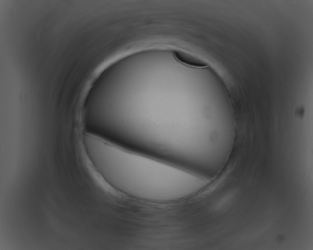 X0000095531526200712140923