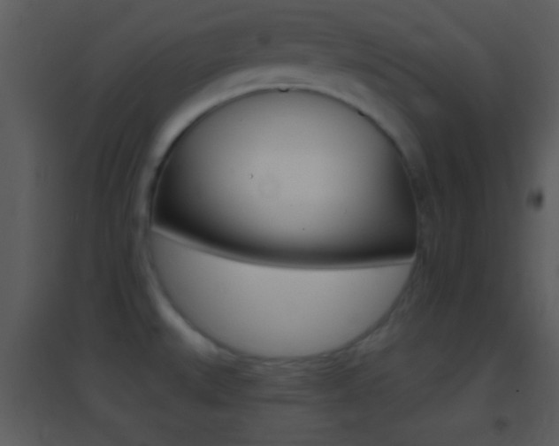 X0000095531527200712140923