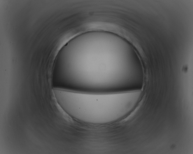 X0000095531529200712140923