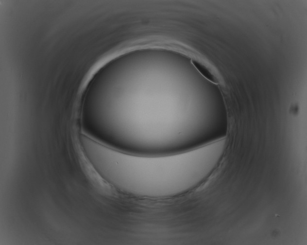 X0000095531530200712140923