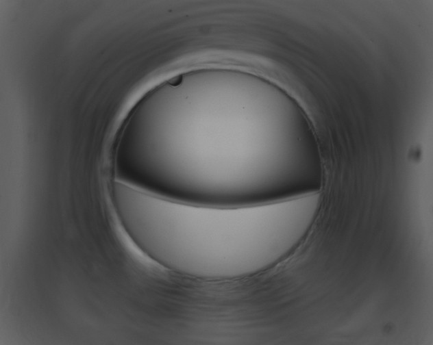 X0000095531531200712140923