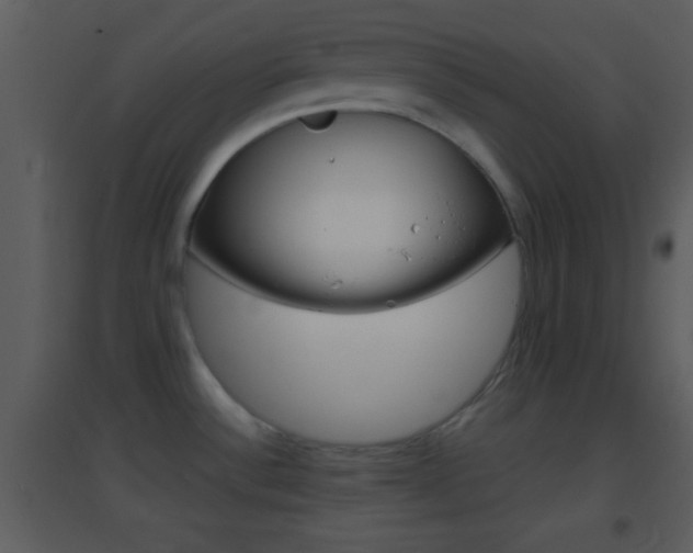 X0000095531532200712140923