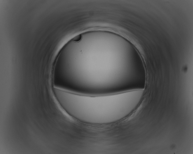 X0000095531533200712140923