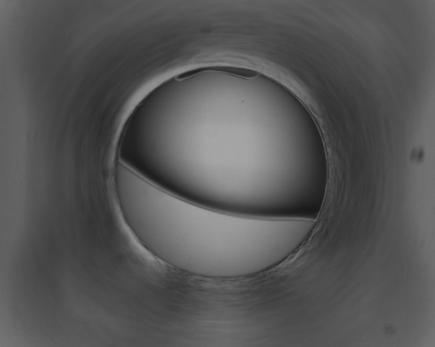 X0000095531536200712140923