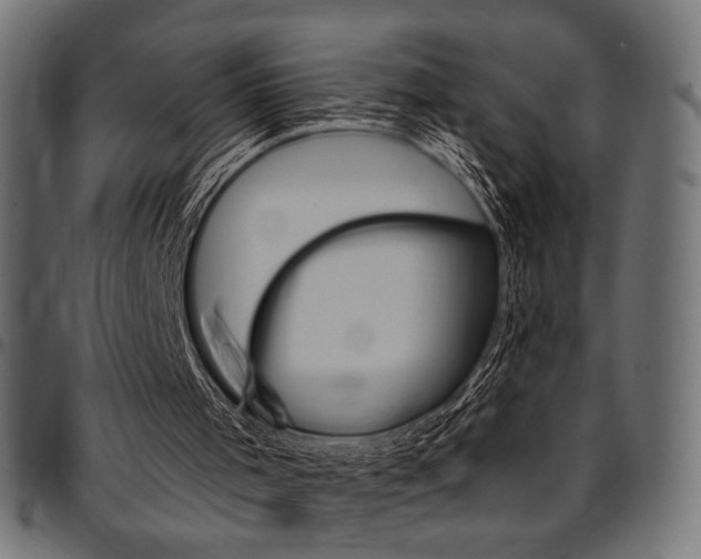 X0000095530001200712141512