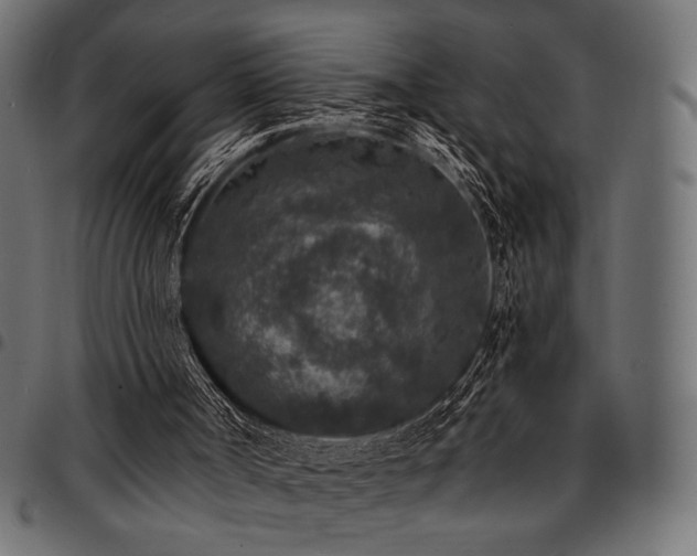 X0000095530002200712141512