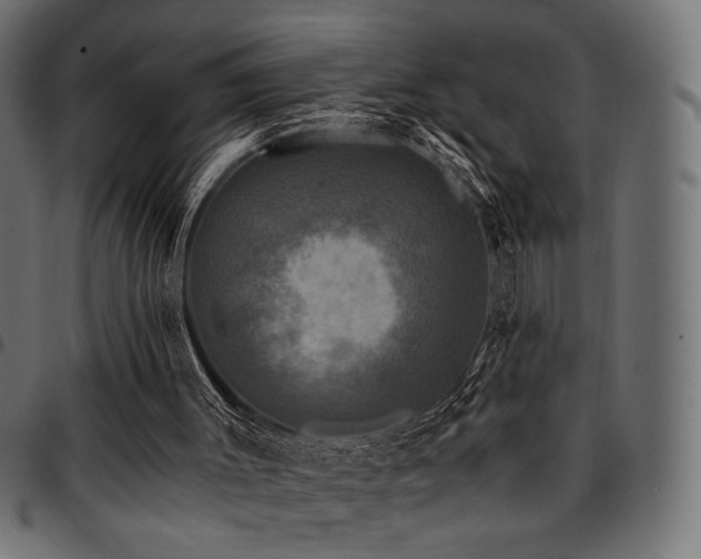 X0000095530003200712141512