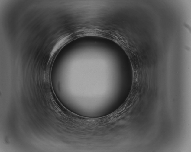 X0000095530004200712141512