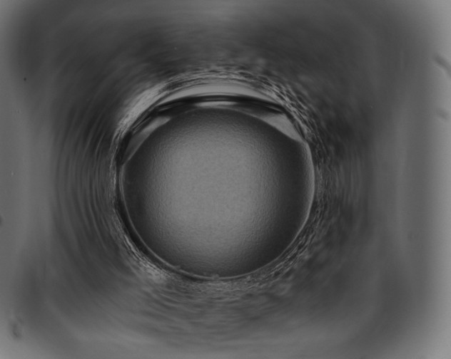 X0000095530005200712141512