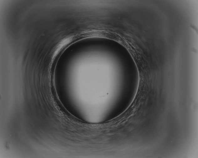 X0000095530006200712141512