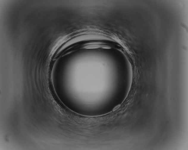 X0000095530007200712141512
