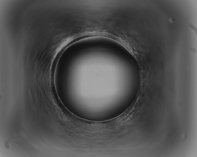 X0000095530008200712141512
