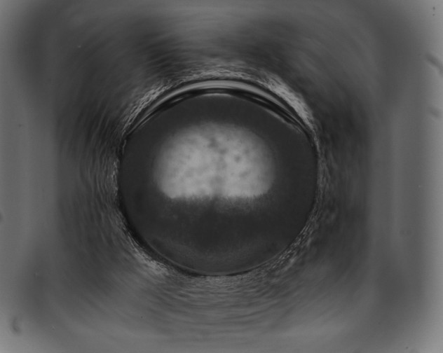 X0000095530009200712141512