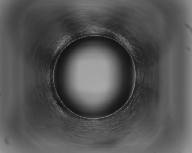 X0000095530010200712141512