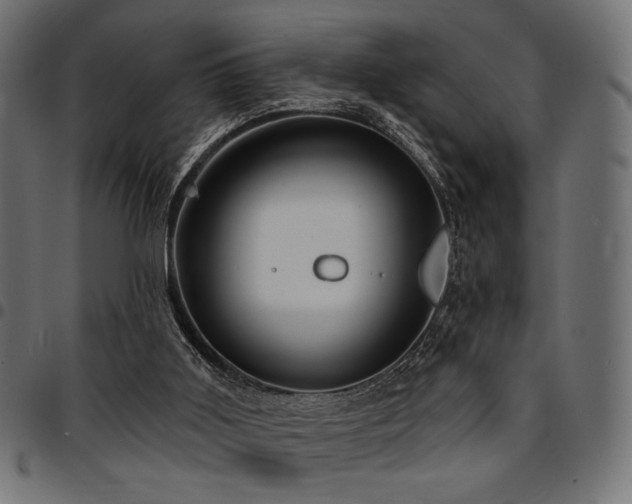 X0000095530011200712141512