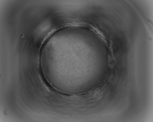 X0000095530012200712141512
