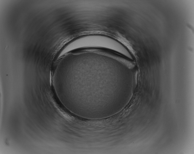 X0000095530013200712141512
