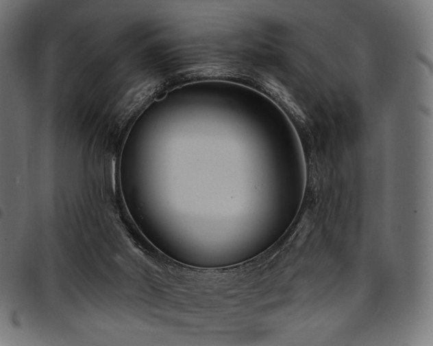 X0000095530014200712141512