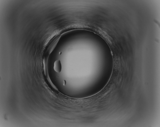 X0000095530015200712141512
